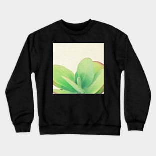 Paddle Plant Crewneck Sweatshirt